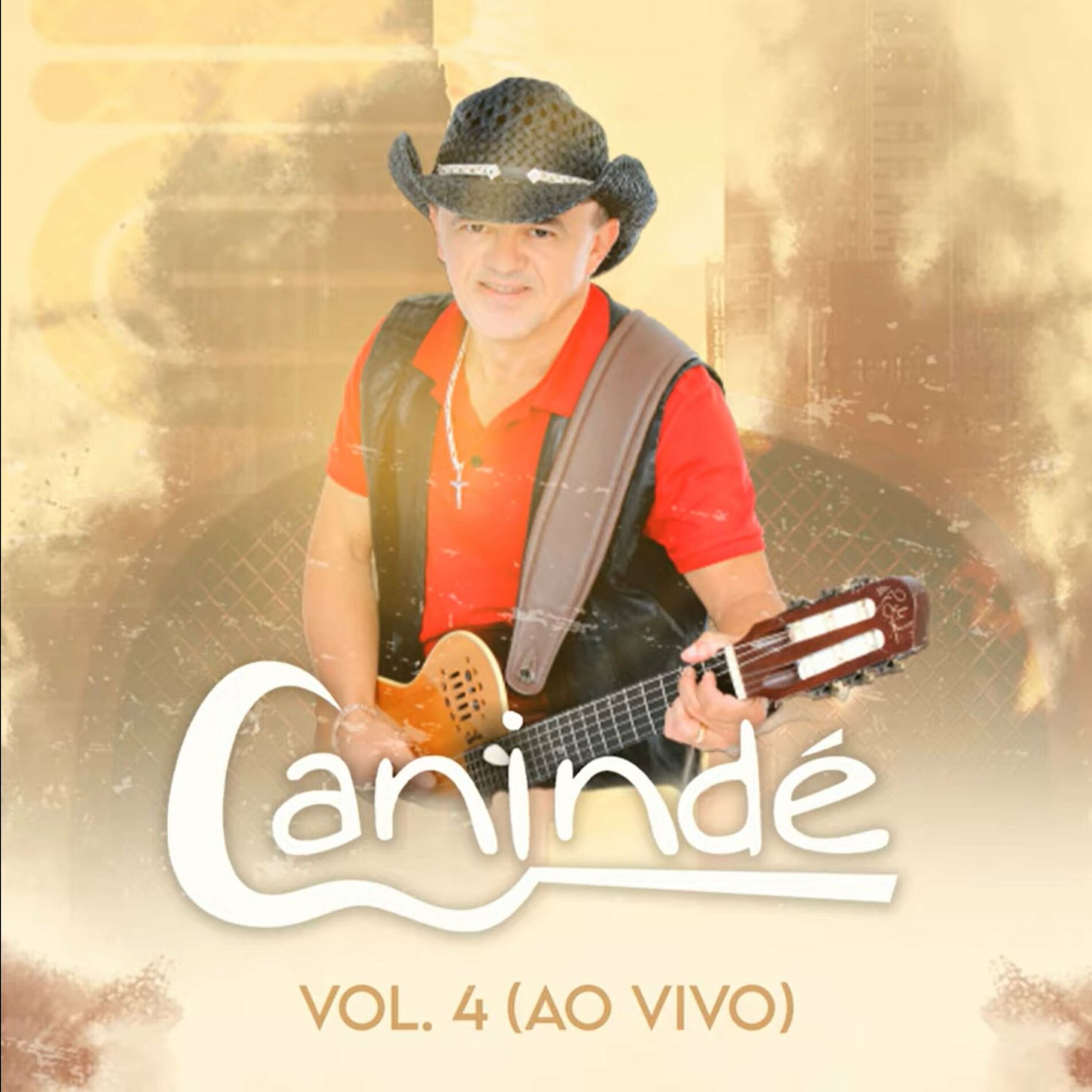 Album cover of Vol. 4 [Ao Vivo]