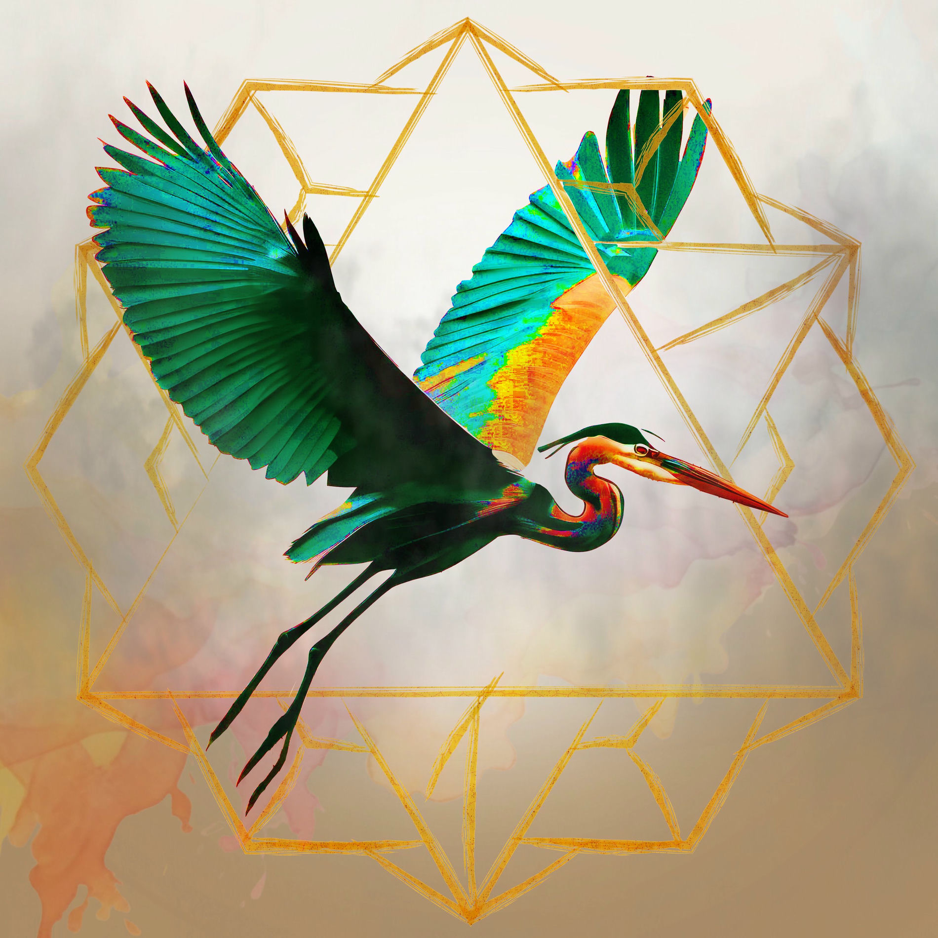 Album cover of Donde