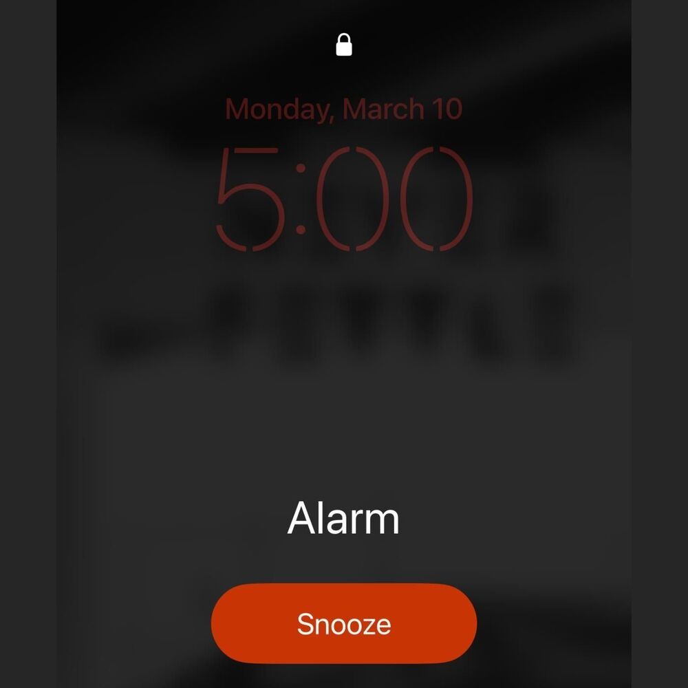 Picture of La Alarma