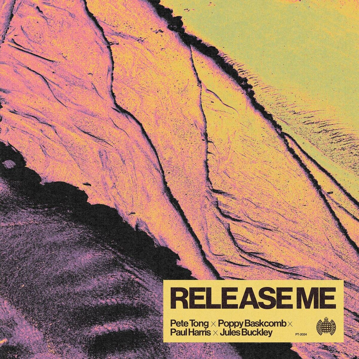Album cover of Release Me (feat. Jules Buckley)