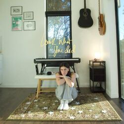 Cover of look what you did