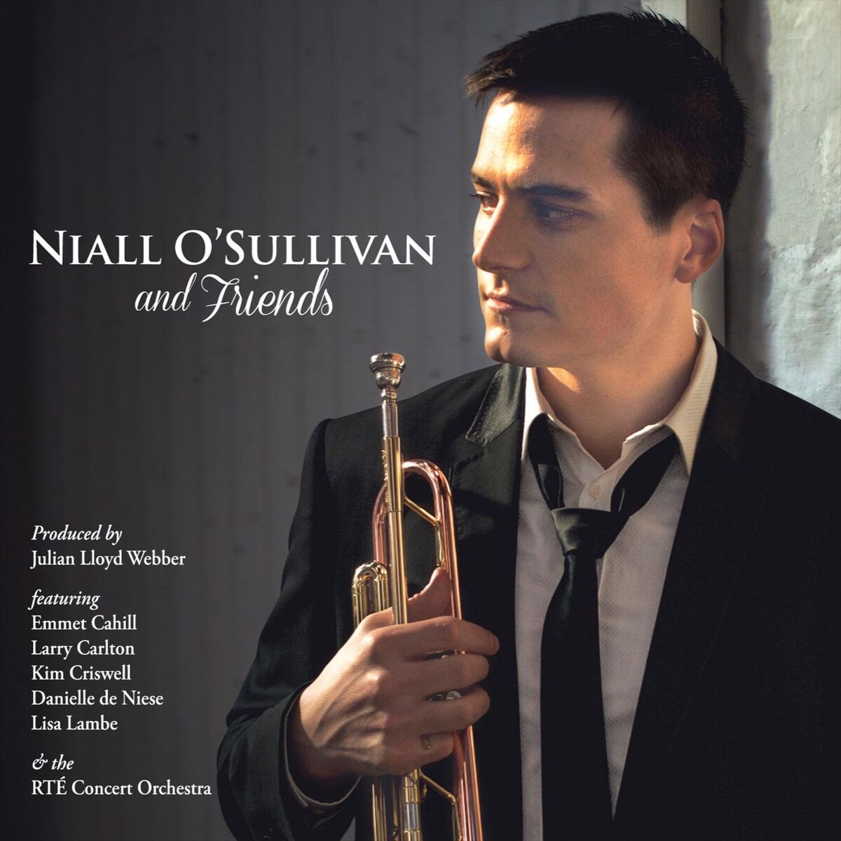 Album cover of Niall O'Sullivan and Friends