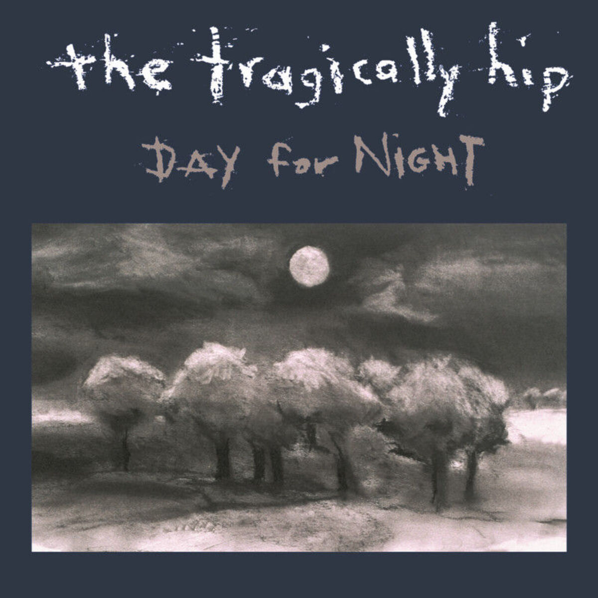 Album cover of Day For Night