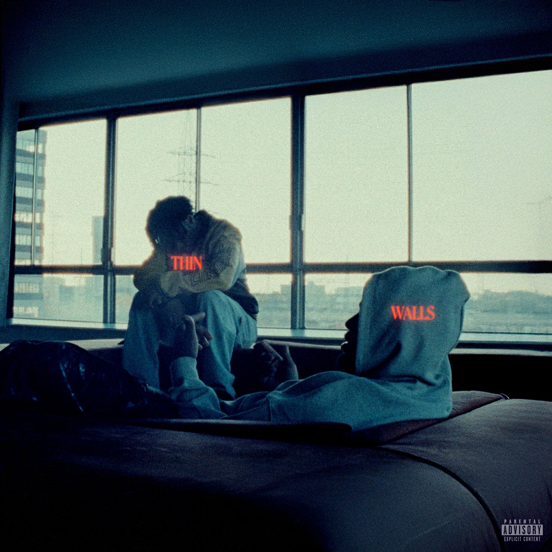 Album cover of THIN WALLS