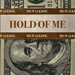 Cover of Hold of Me