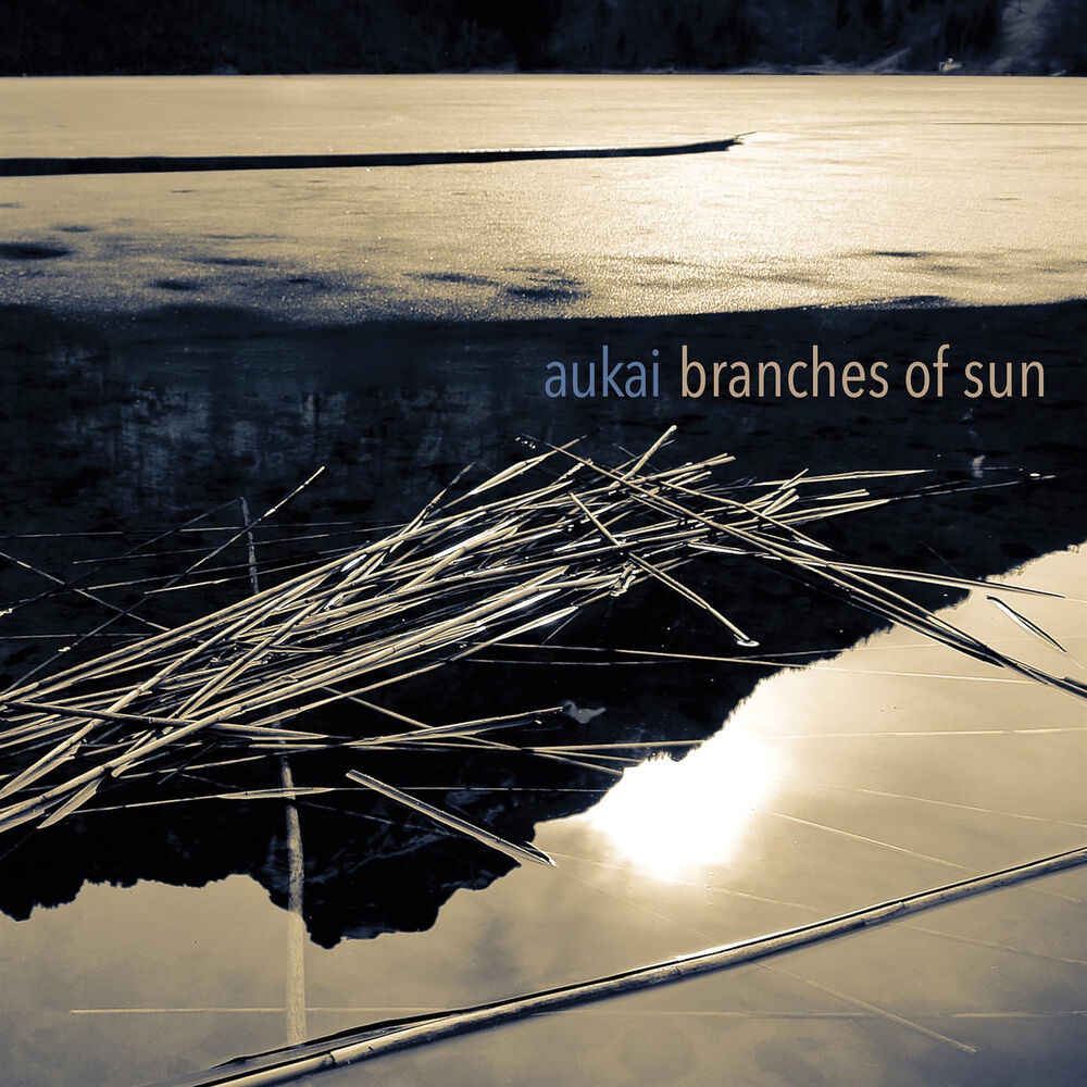 Picture of Branches of Sun