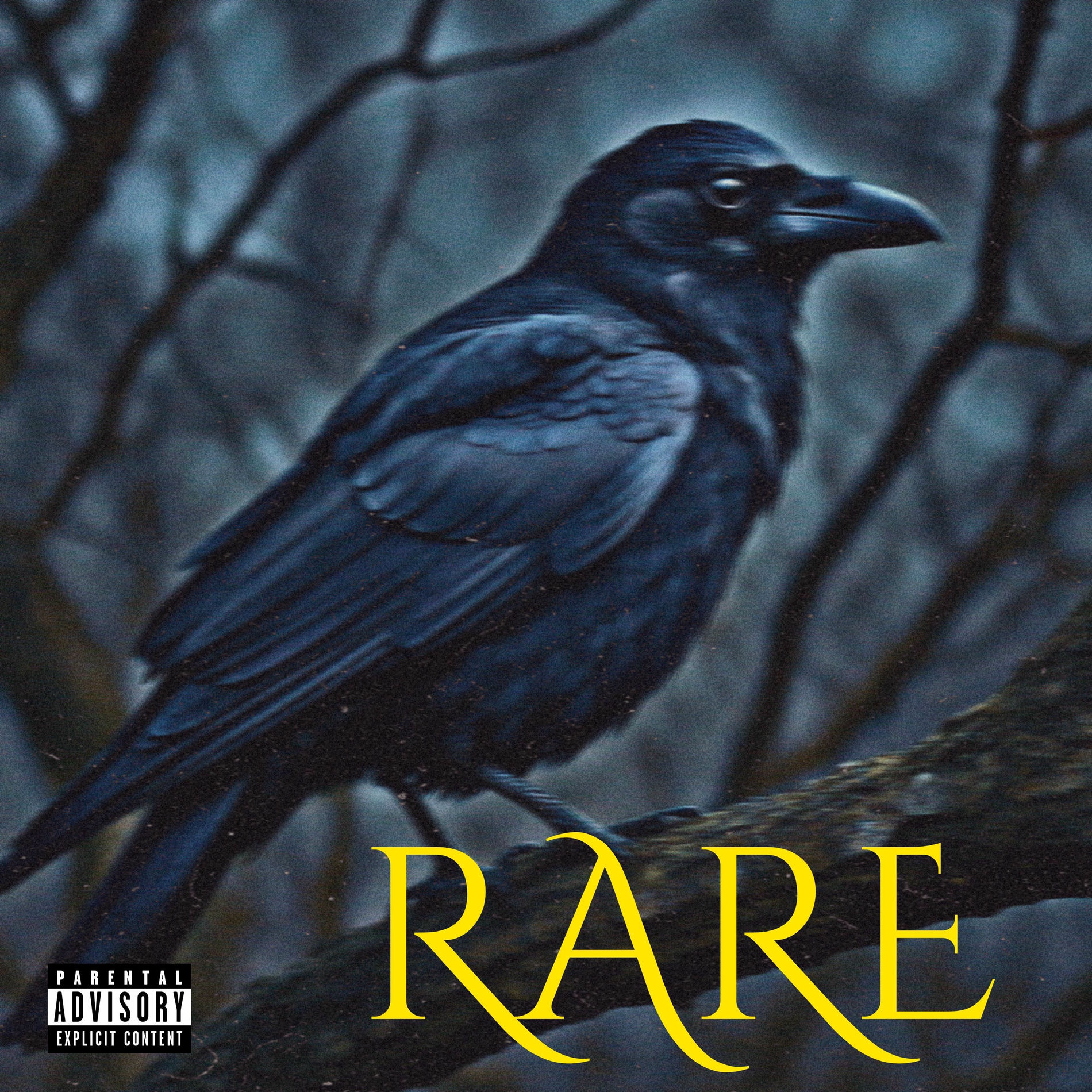 Album cover of Rare