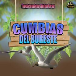 Cover of Tropicumbias Bailadoras