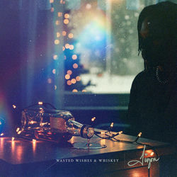 Wasted Wishes & Whiskey