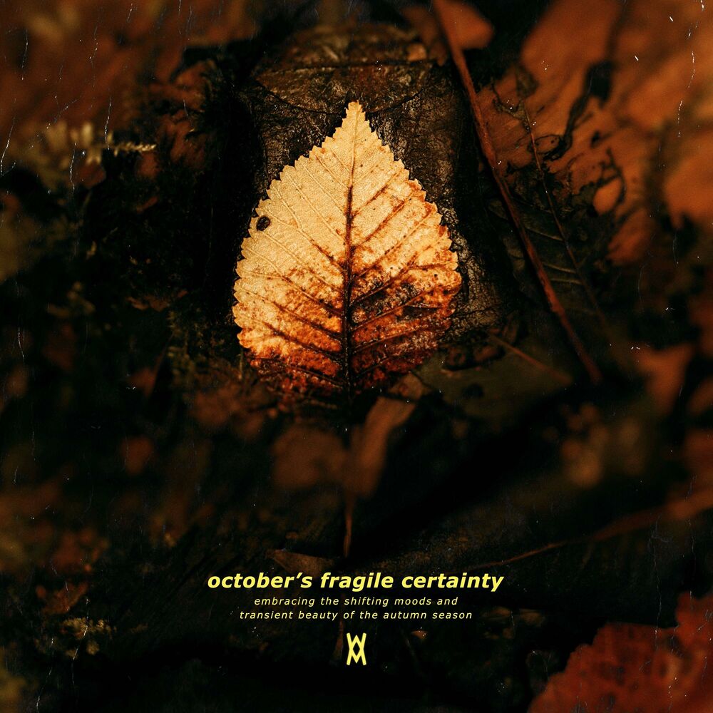 Picture of October’s Fragile Certainty