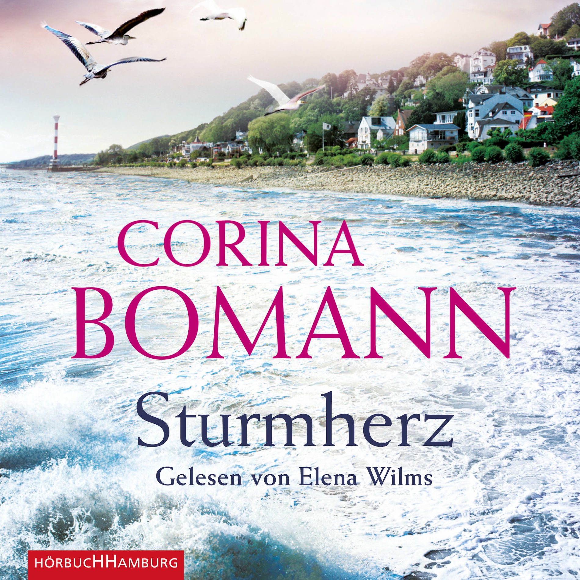 Album cover of Sturmherz