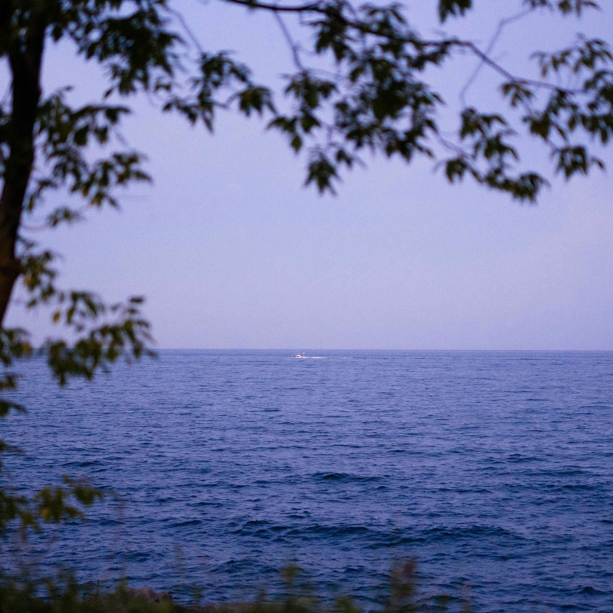 Album cover of under the soft sky