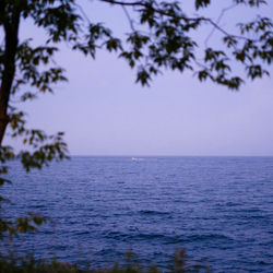 Cover of under the soft sky by undefined