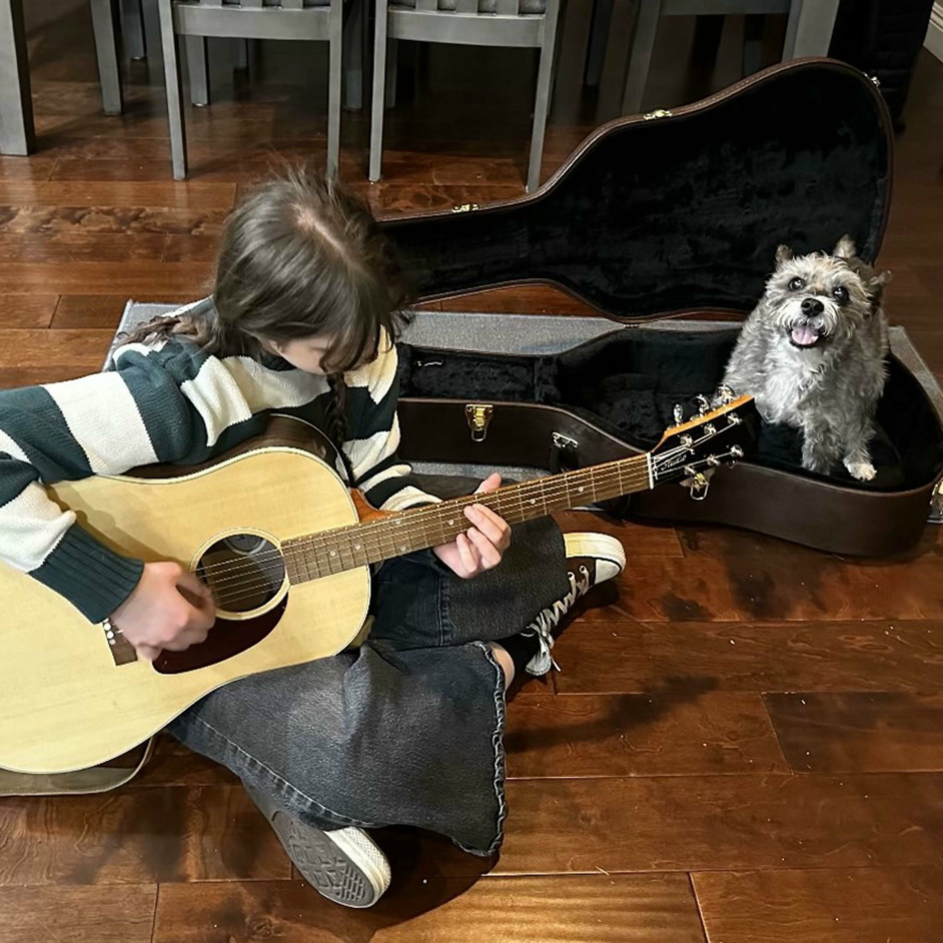 Album cover of Thrown In The Wind
