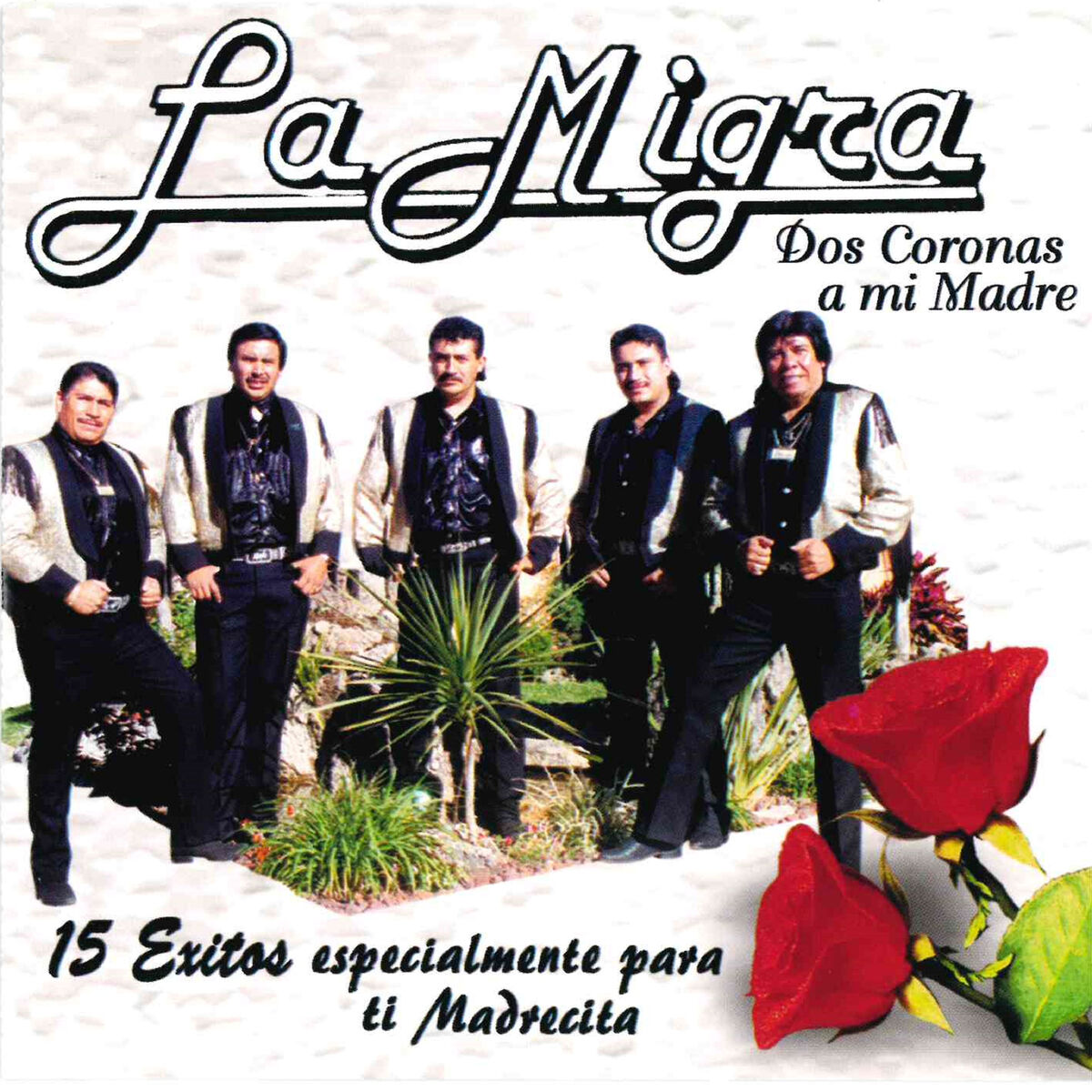 Album cover of Especialmente para Ti Madrecita