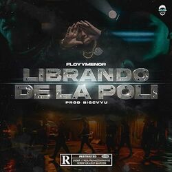 Cover of Librando De Poli