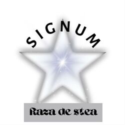 Raza de stea