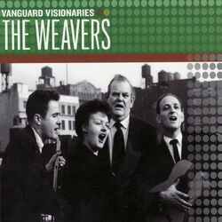 Cover of Vanguard Visionaries