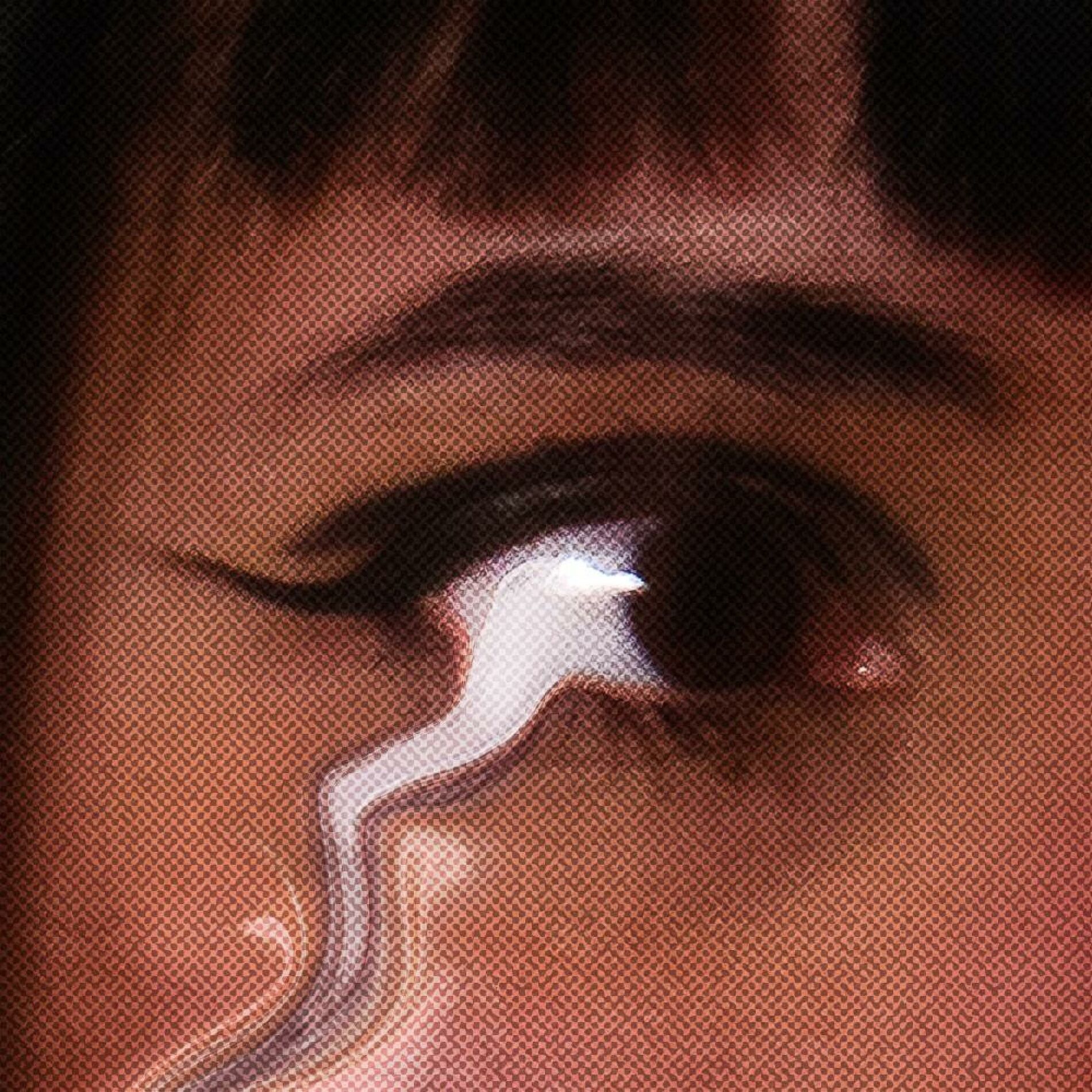 Album cover of MES LARMES (feat. Zyon)