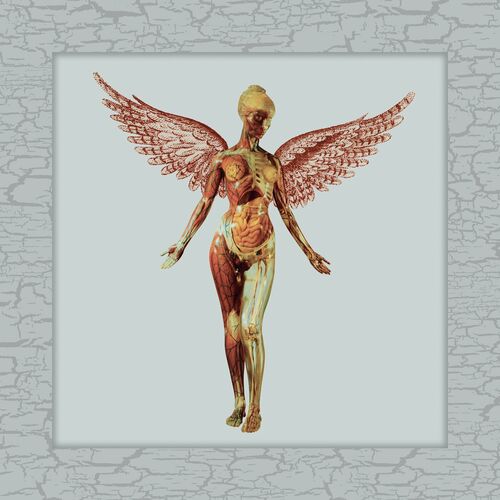 Nirvana - In Utero (30th Anniversary Super Deluxe) | Deezer