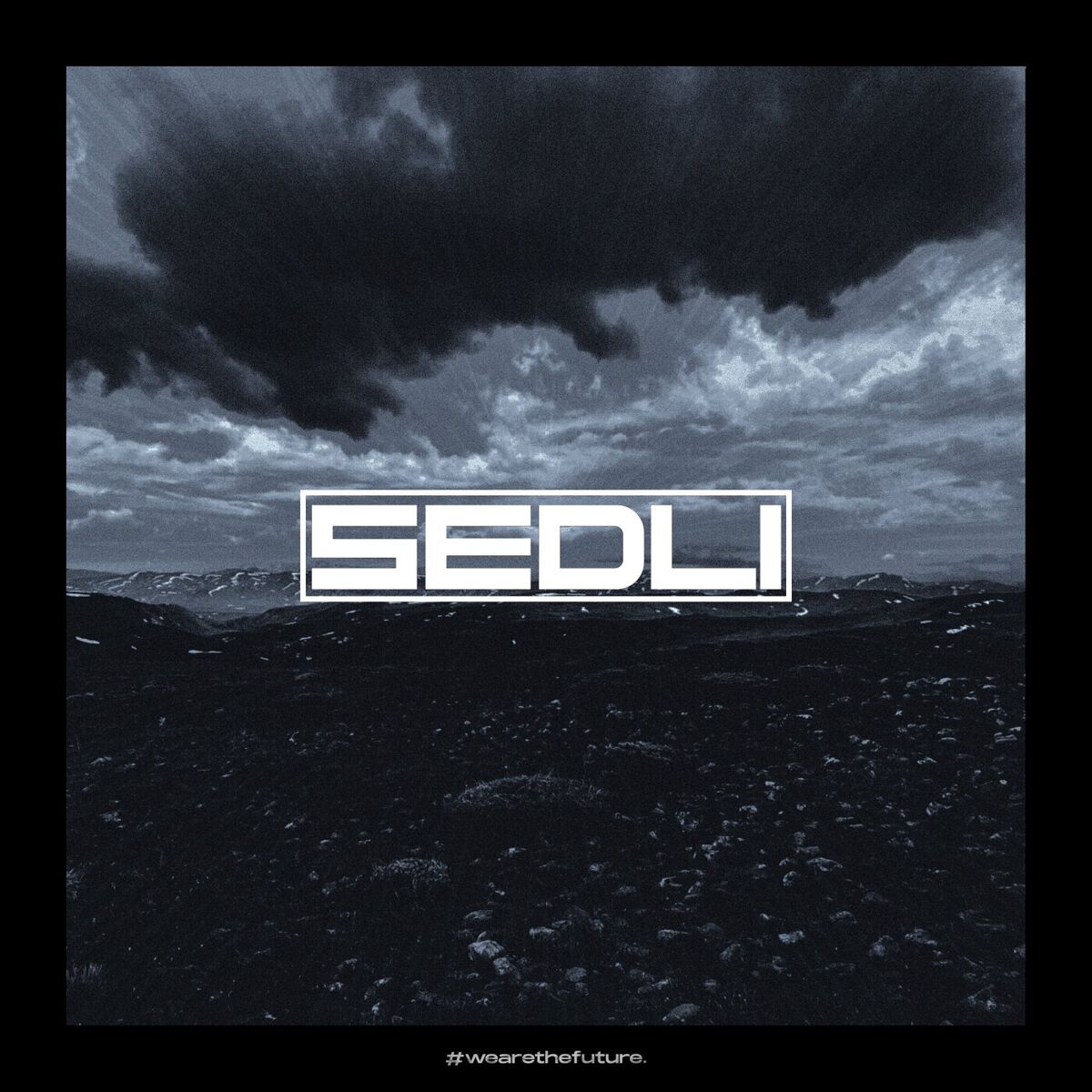 Album cover of Spatial Vision Remixes
