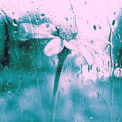 Cover of Feelings for Rainy Moods