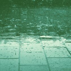 Cover of Music for Rainy Evenings - Vivacious Electric Guitars