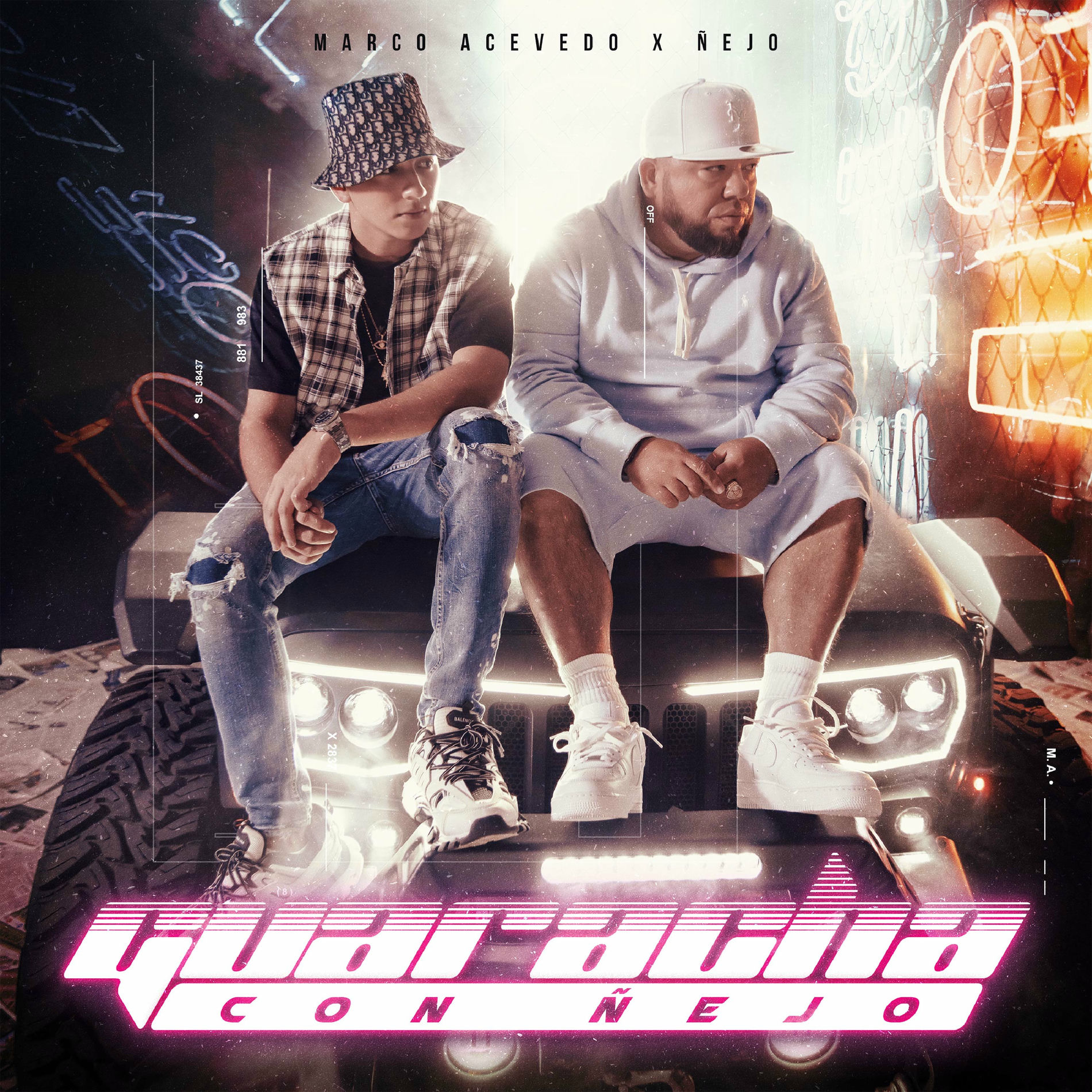 Album cover of Guaracha Con Ñejo