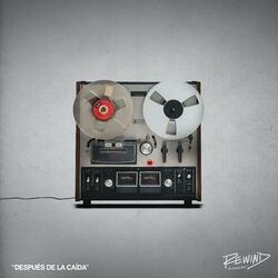 Cover of Después De La Caída