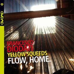 Cover of Flow, Home. (Yellow Squeeds)
