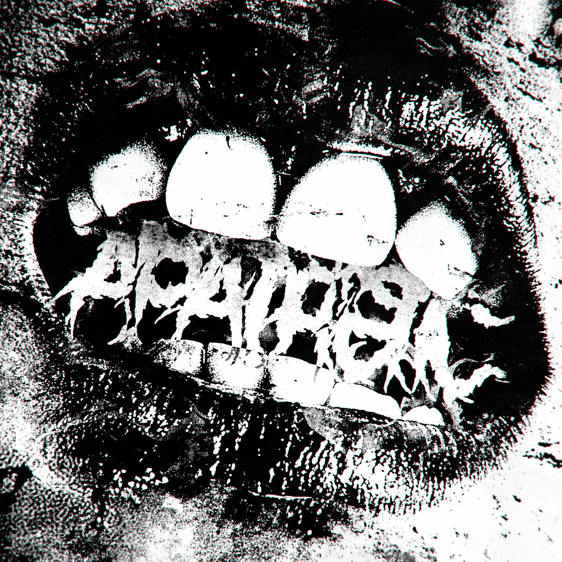Album cover of Apathetic