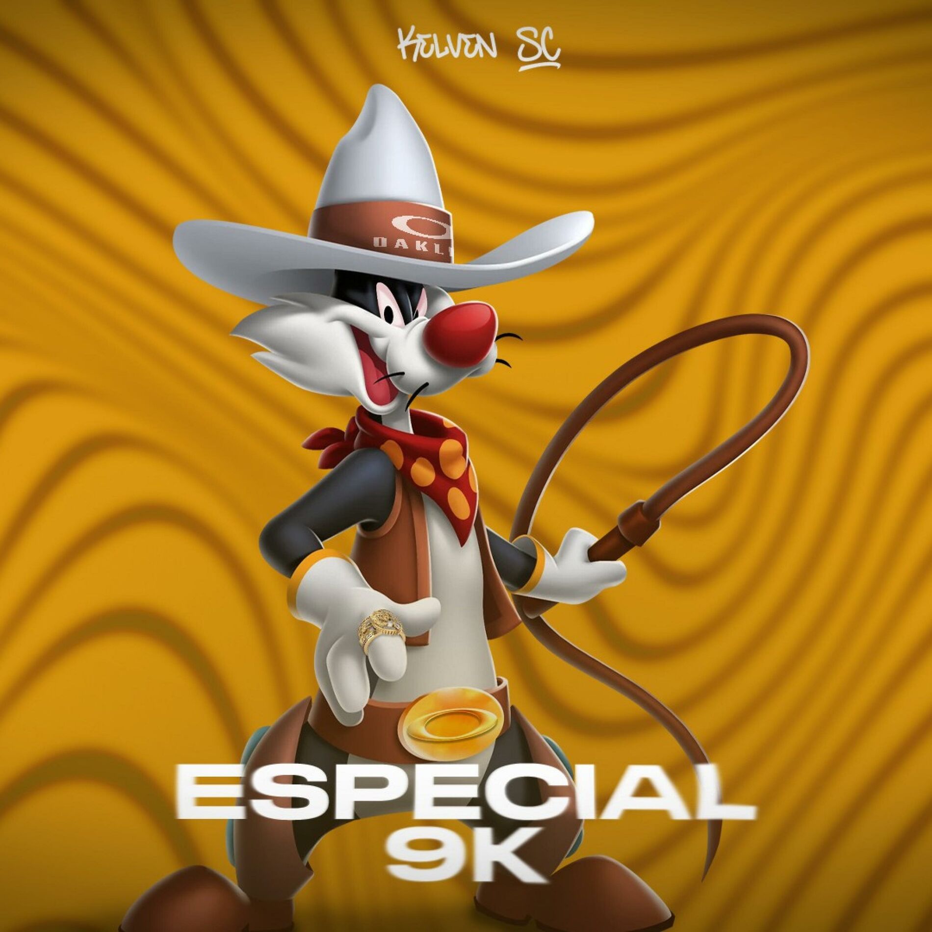 Album cover of MEGA FUNK ESPECIAL 9K