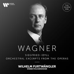 Cover of Wagner: Siegfried-Idyll & Orchestral Excerpts from the Operas