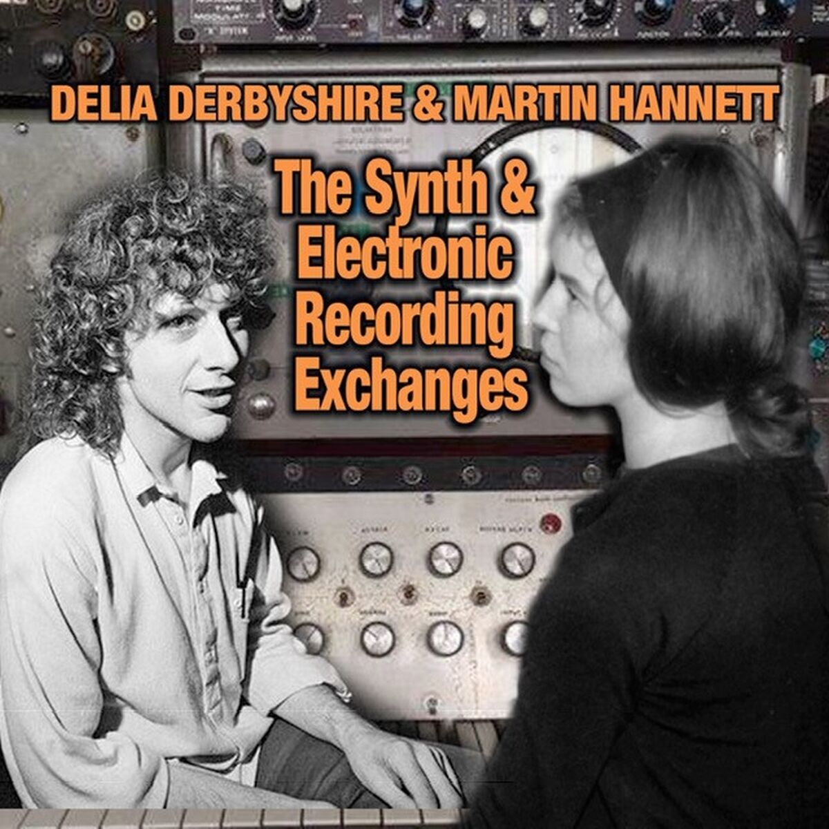 Album cover of The Synth And Electronic Recording Exchanges