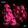 Shout by Placebo album cover