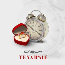 Cover of Ye Na Wale