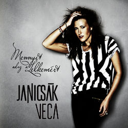 Cover of Mennyit adsz a lelkemért
