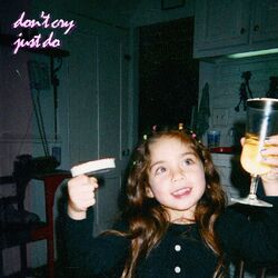 Cover of don't cry just do
