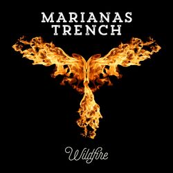 Cover of Wildfire (Clean)