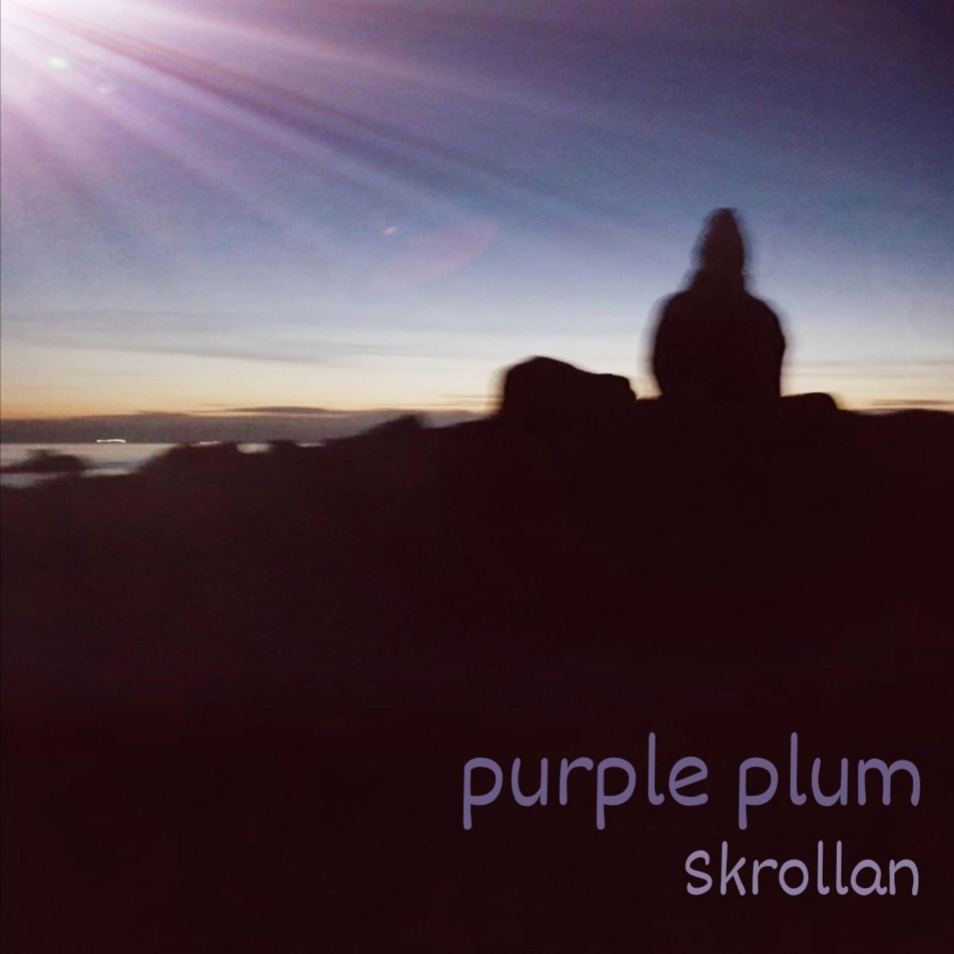 Album cover of purple plum