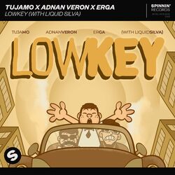 Cover of Lowkey (with Liquid Silva)