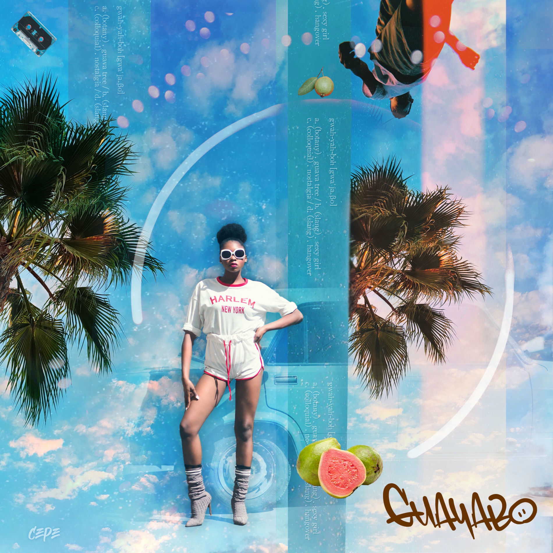 Album cover of Guayabo