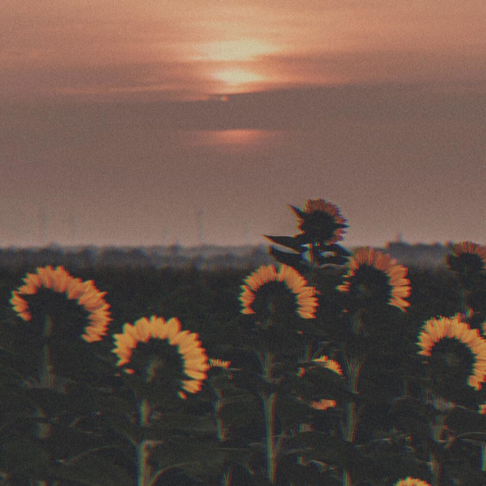 Picture of mind undefined