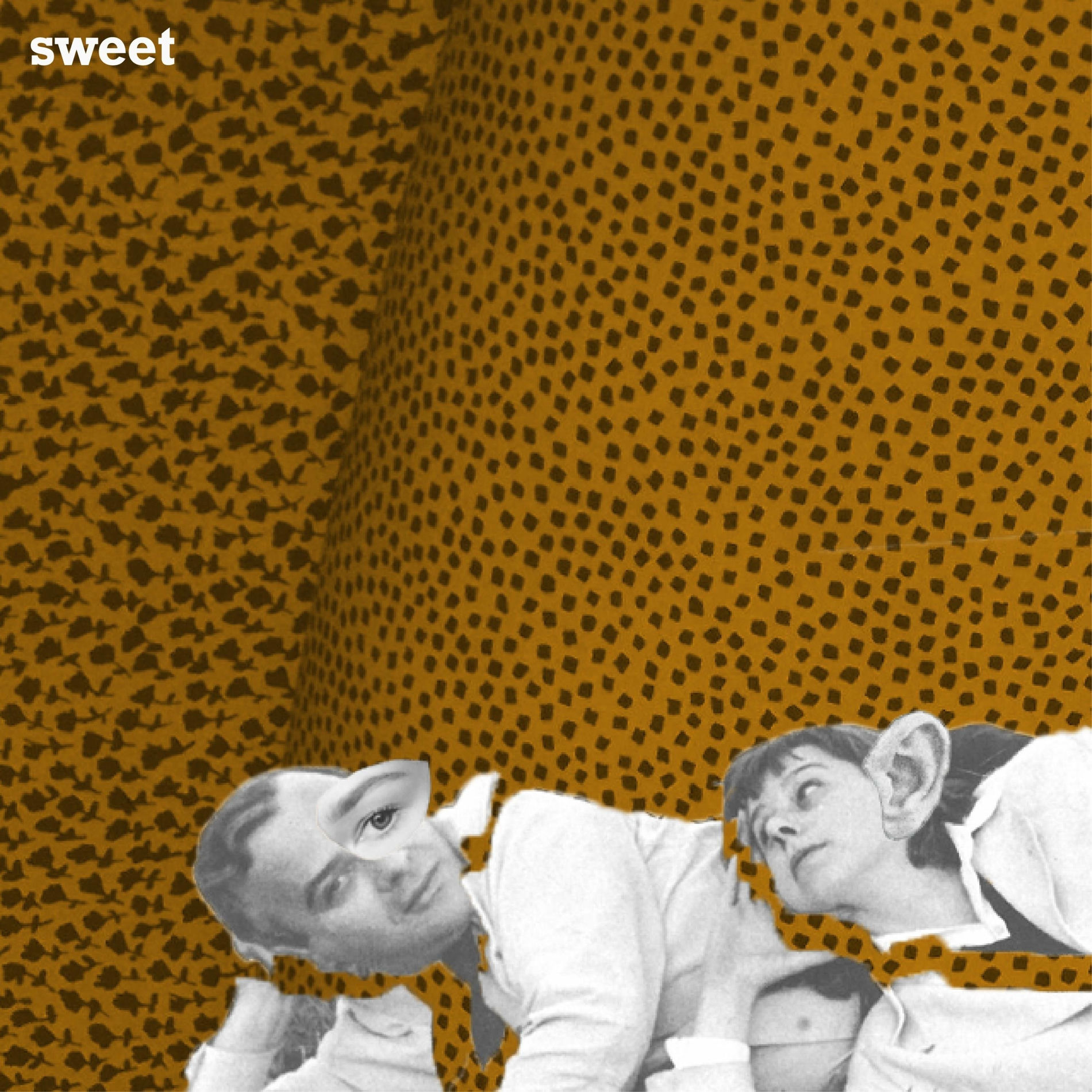 Album cover of Sweet