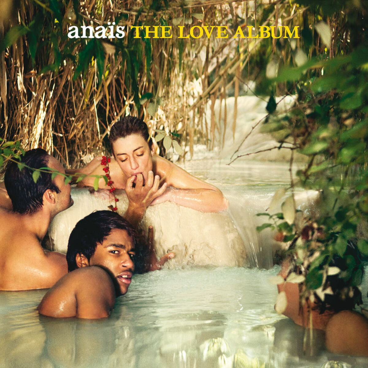 Album cover of The Love Album