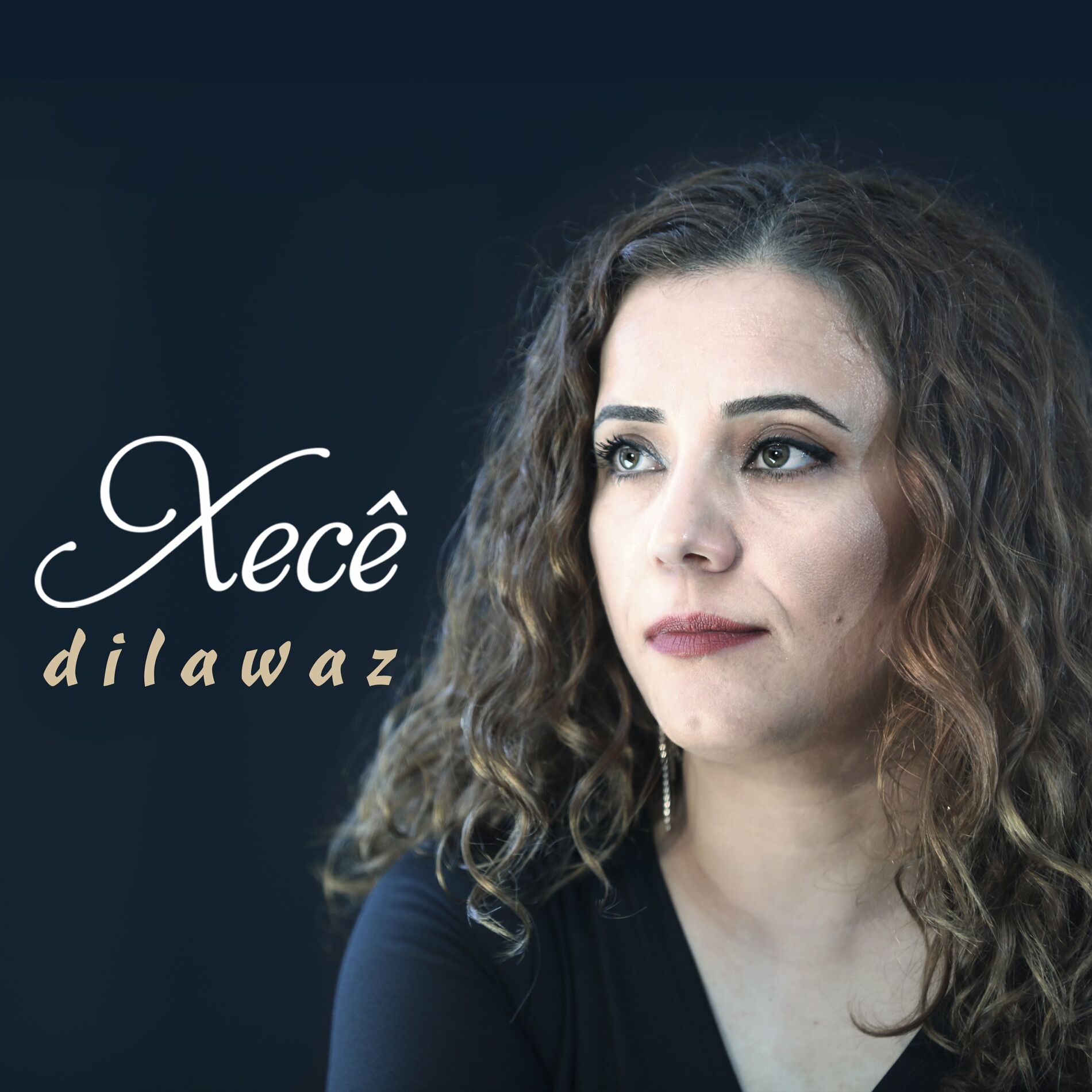 Album cover of Qîzika Bajarî