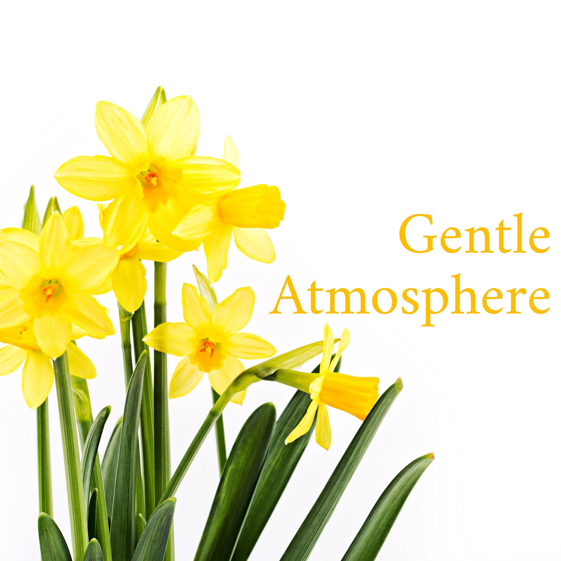 Album cover of Gentle Atmosphere (Very Soft & Easy Jazz Music)