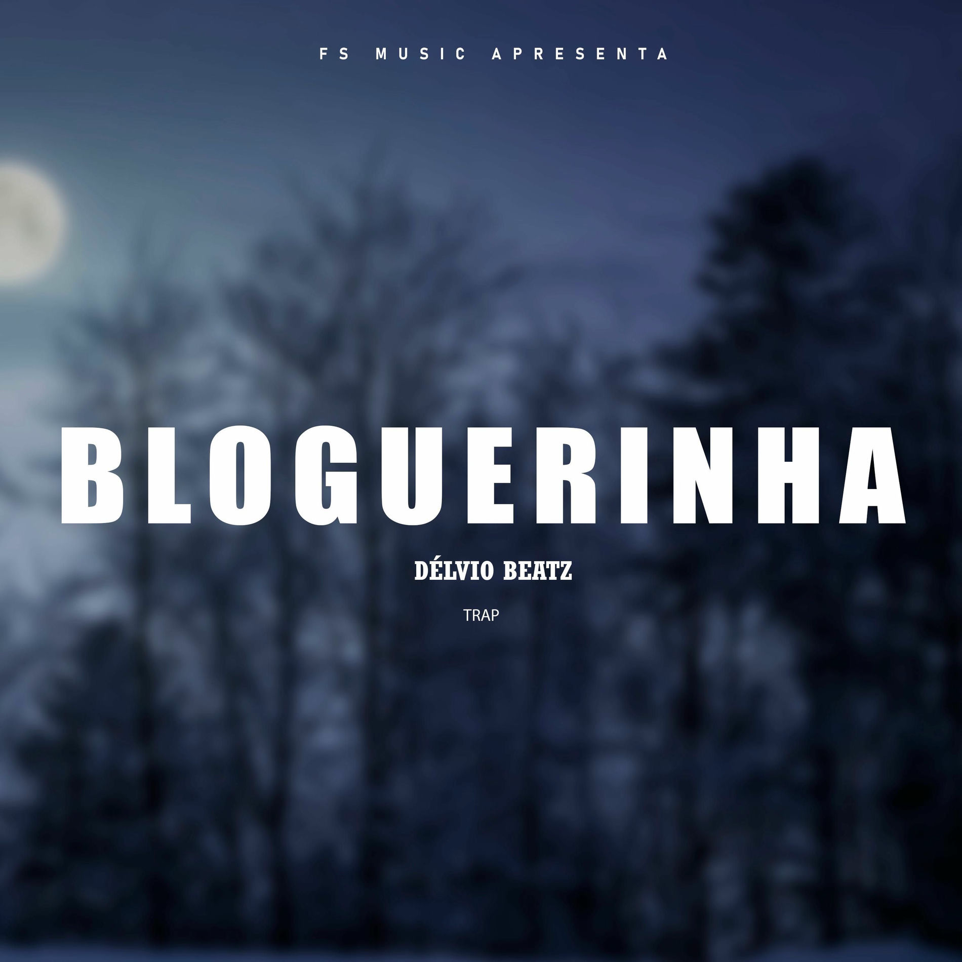Album cover of Bloguerinha
