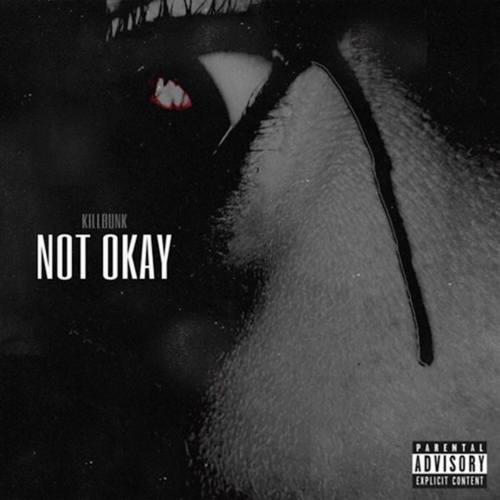 Album cover of Not Okay