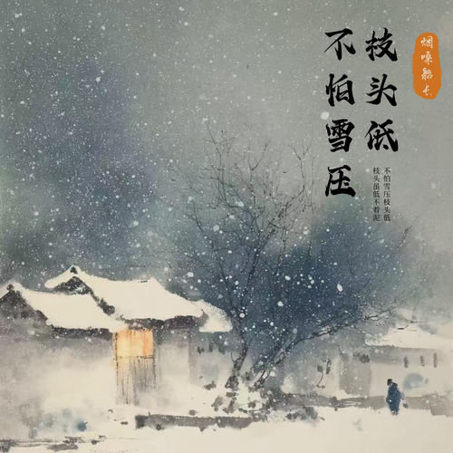 不怕雪压枝头低